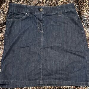 Ann Taylor Denim Skirt